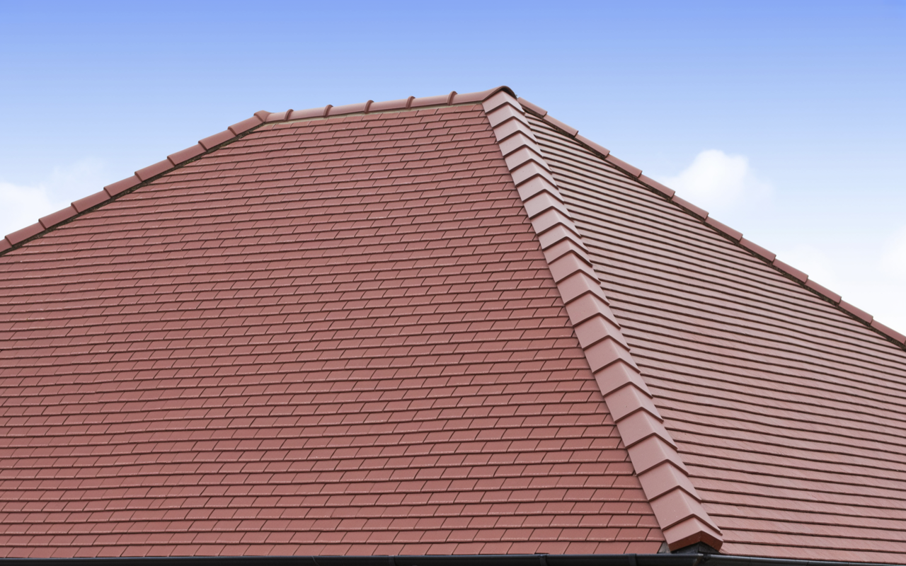 Roofs - Moss & algae safely removed
